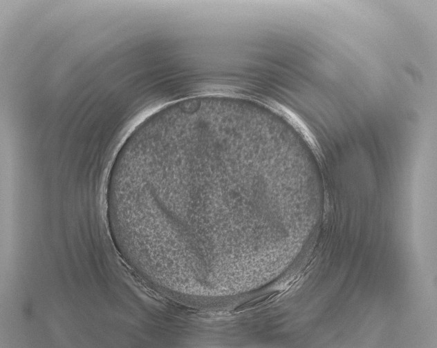 X0000116011435200912171002