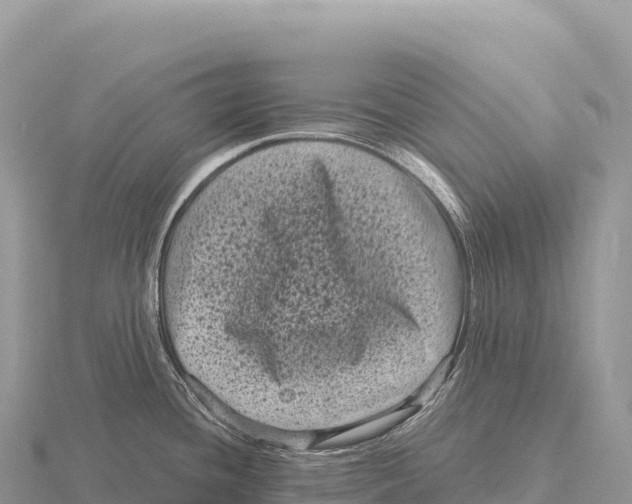 X0000116011436200912171002