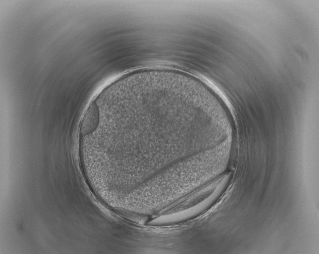 X0000116011437200912171002