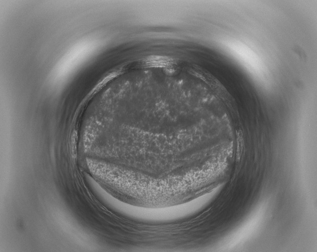 X0000116011438200912171002