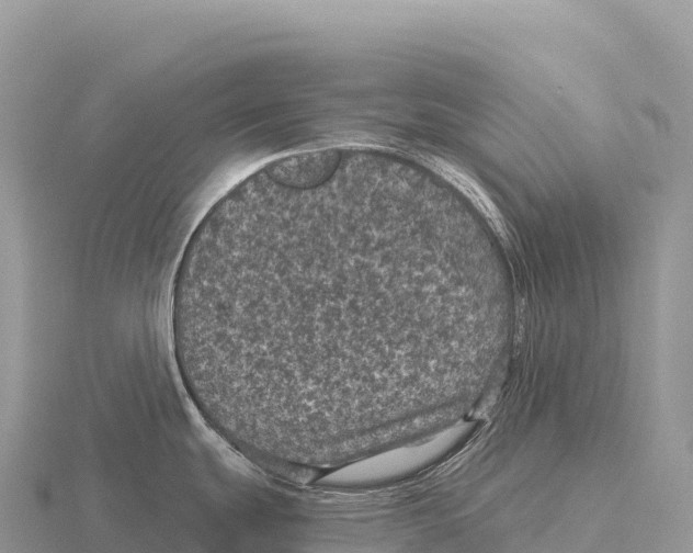 X0000116011439200912171002