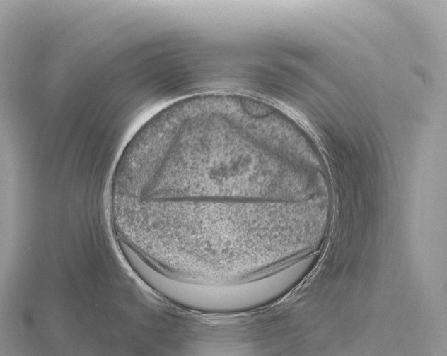 X0000116011440200912171002