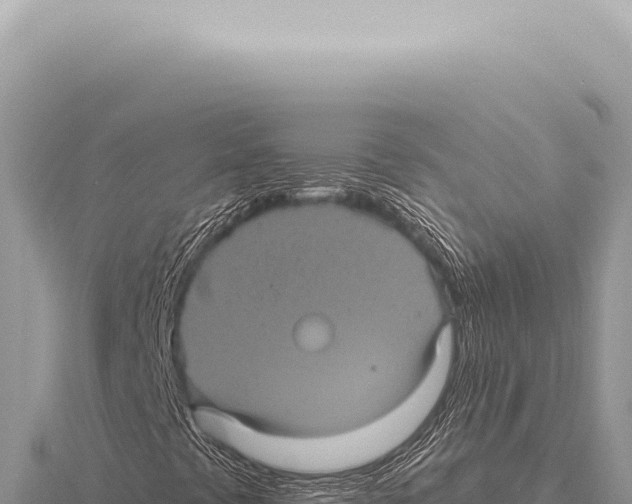 X0000116011441200912171001