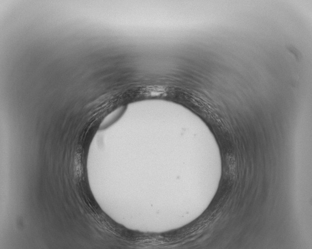 X0000116011442200912171001