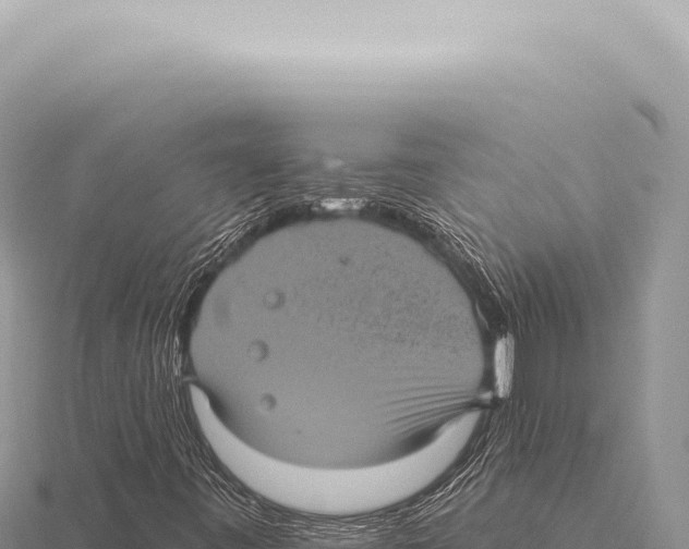 X0000116011443200912171001