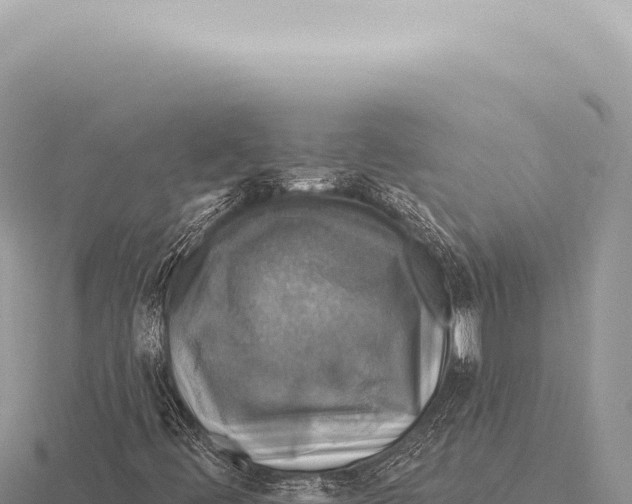 X0000116011444200912171001