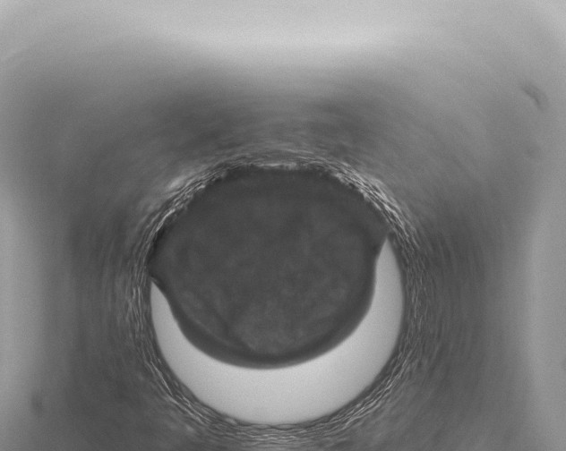 X0000116011445200912171001