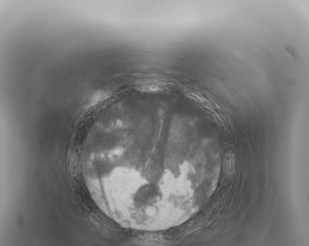 X0000116011446200912171001