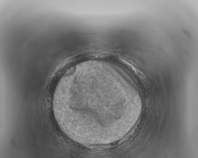 X0000116011447200912171001