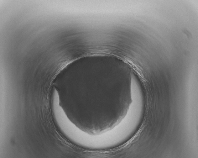 X0000116011449200912171001