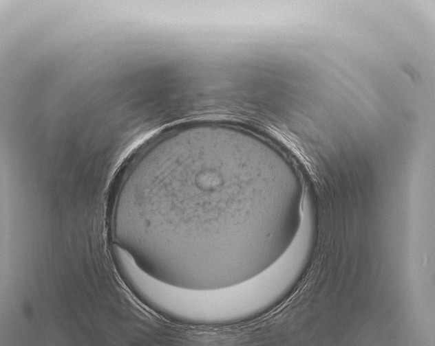 X0000116011452200912171001