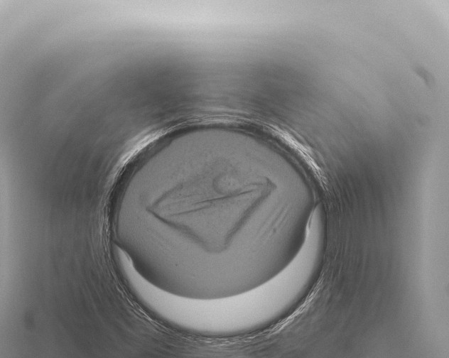 X0000116011453200912171001