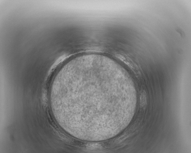 X0000116011454200912171001