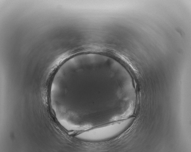 X0000116011455200912171001