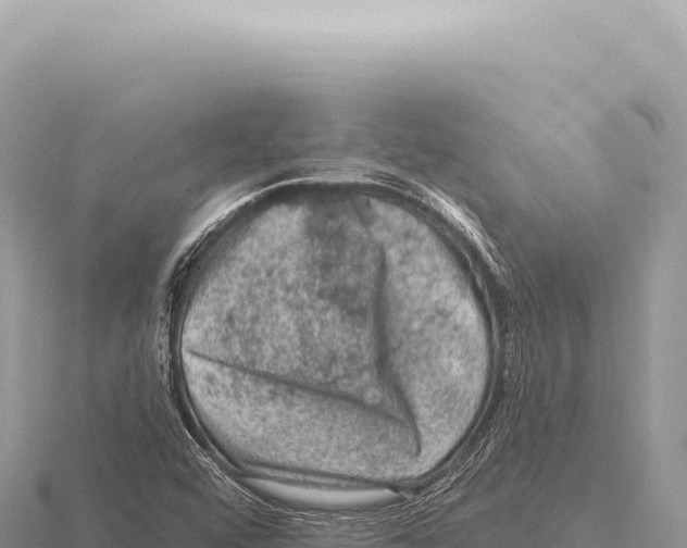 X0000116011456200912171001