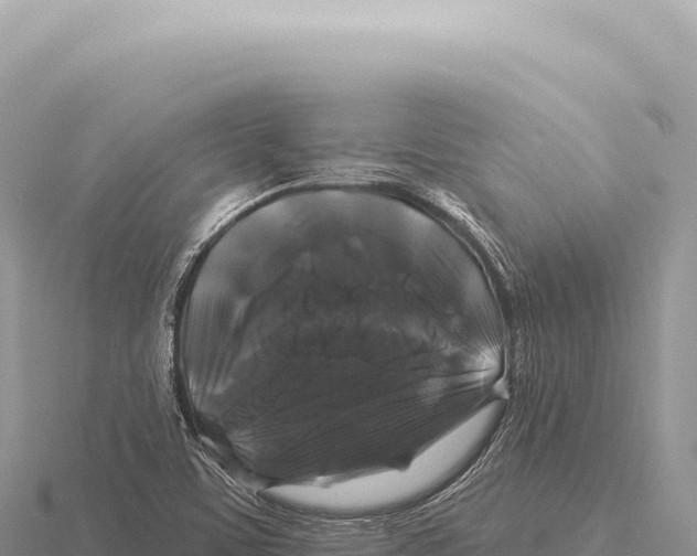 X0000116011459200912171001