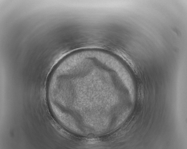 X0000116011460200912171001