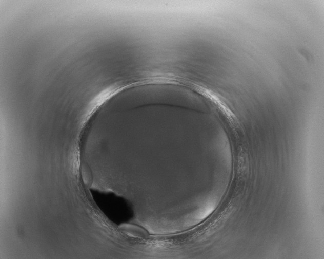 X0000116011461200912171001