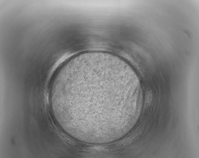 X0000116011462200912171001