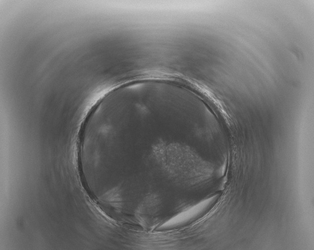 X0000116011463200912171001