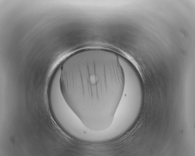 X0000116011464200912171001