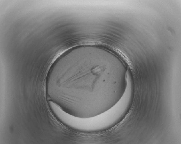 X0000116011465200912171001