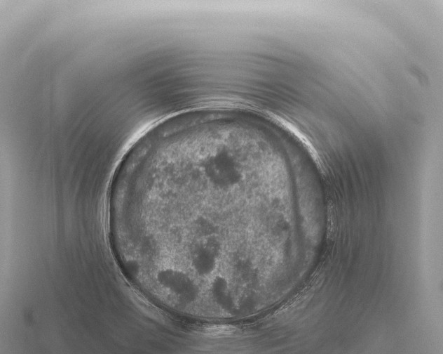 X0000116011467200912171001