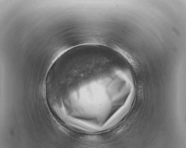 X0000116011468200912171001