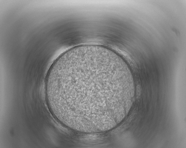 X0000116011470200912171001