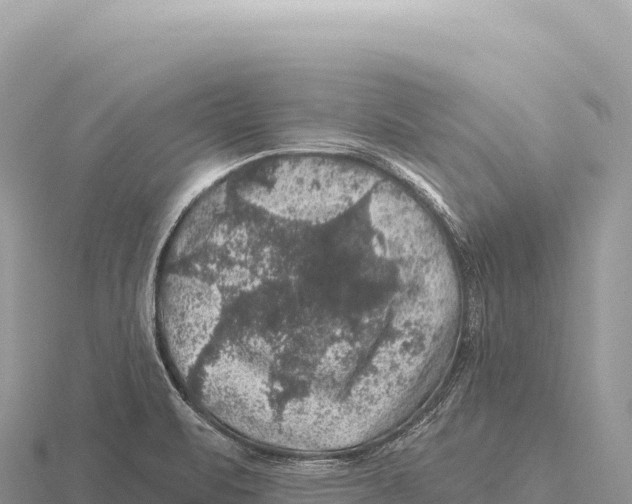 X0000116011471200912171001