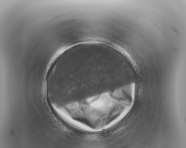 X0000116011472200912171001