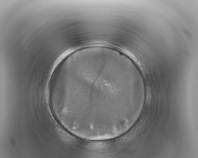 X0000116011474200912171001