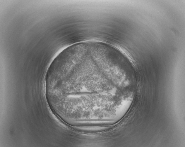 X0000116011476200912171001