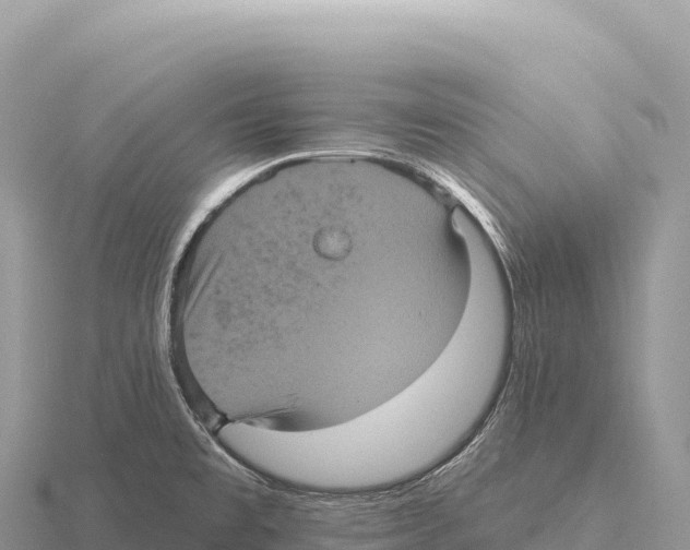 X0000116011477200912171001