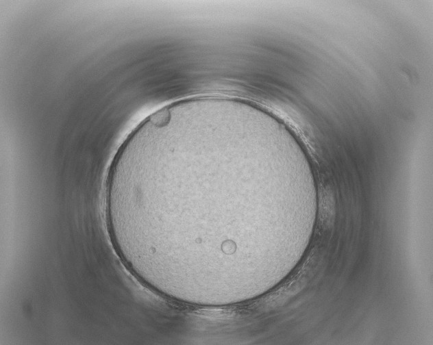 X0000116011478200912171001