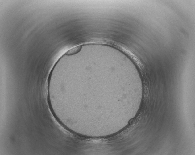 X0000116011479200912171001