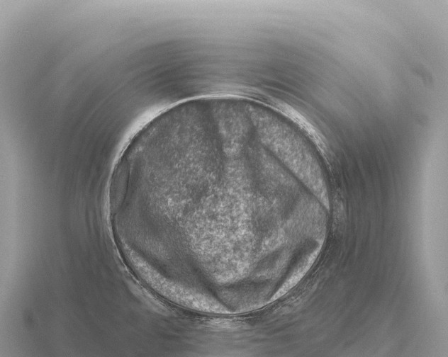 X0000116011480200912171001