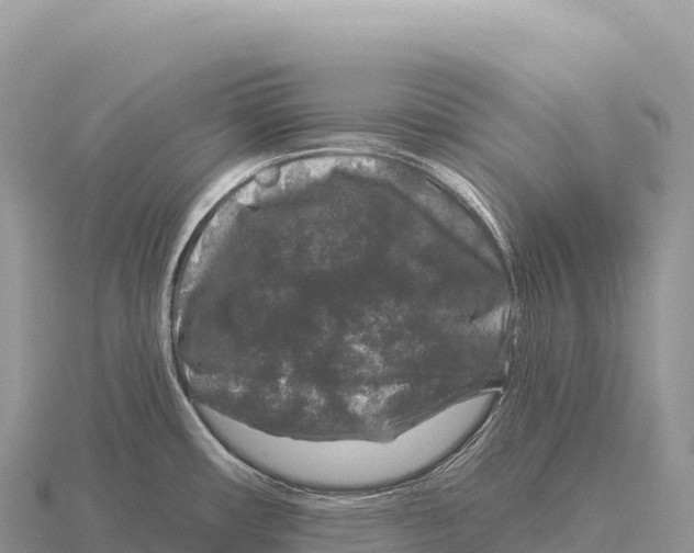 X0000116011482200912171000