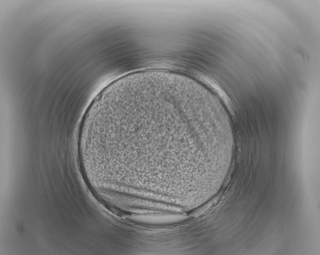 X0000116011483200912171000