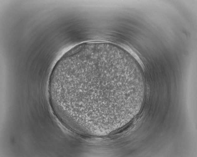 X0000116011485200912171000