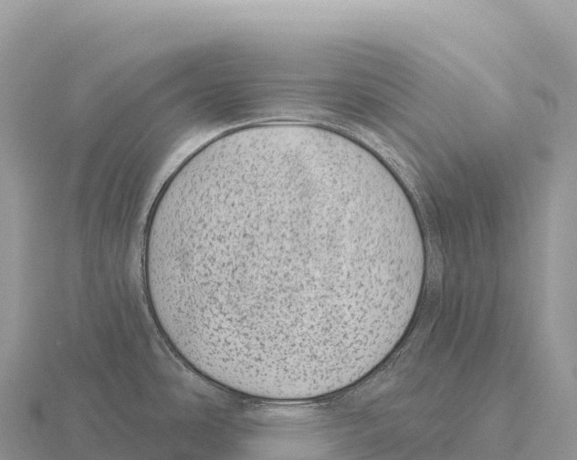 X0000116011486200912171000