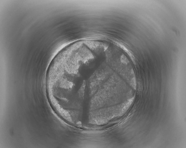 X0000116011487200912171000