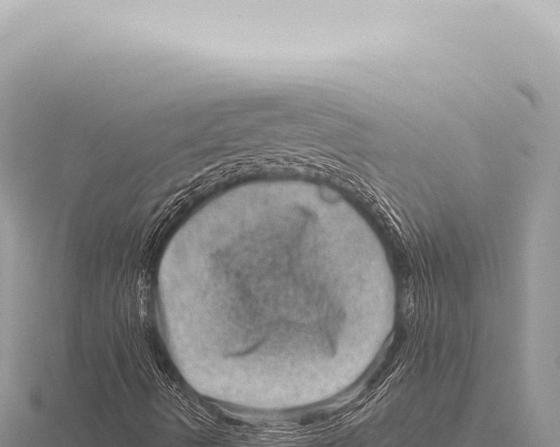 X0000116011490200912171000