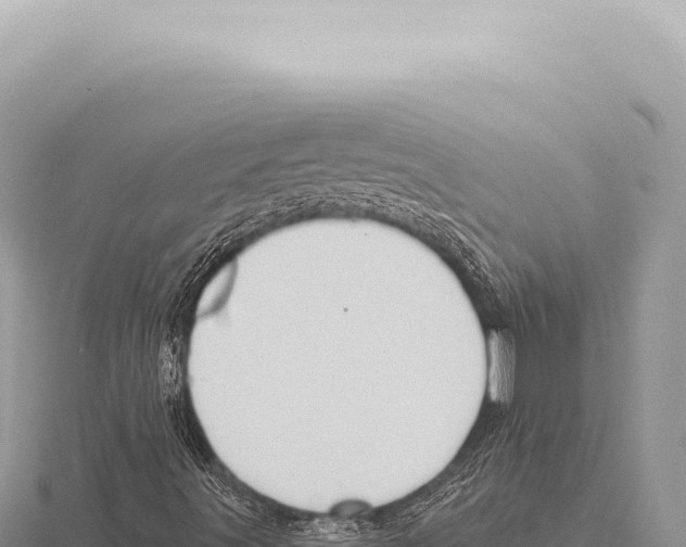 X0000116011491200912171000