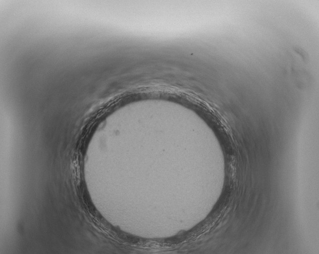 X0000116011493200912171000