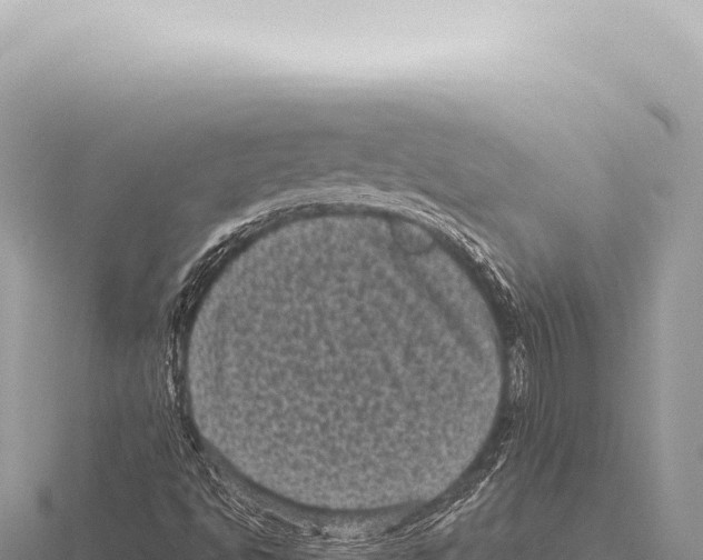 X0000116011494200912171000