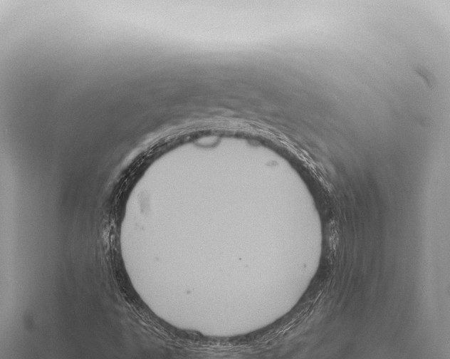 X0000116011495200912171000