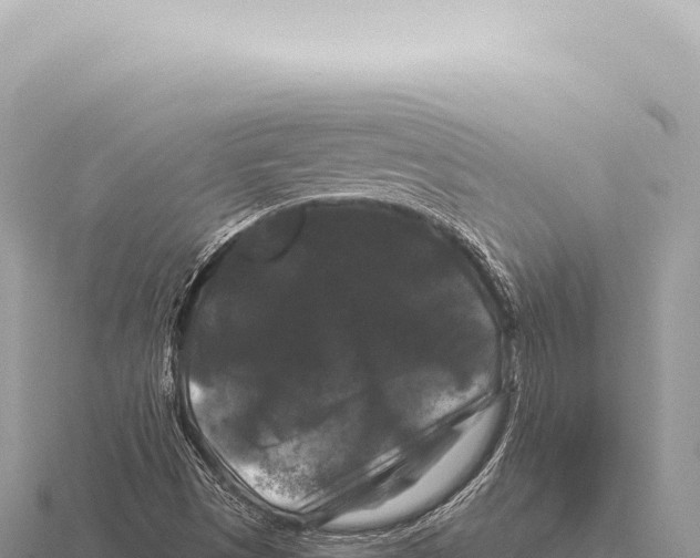 X0000116011497200912171000