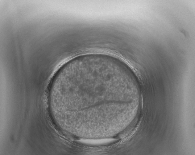 X0000116011501200912171000