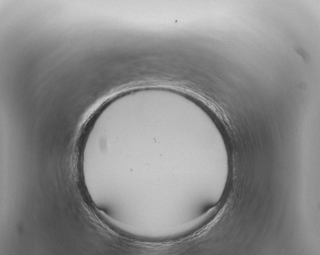 X0000116011502200912171000